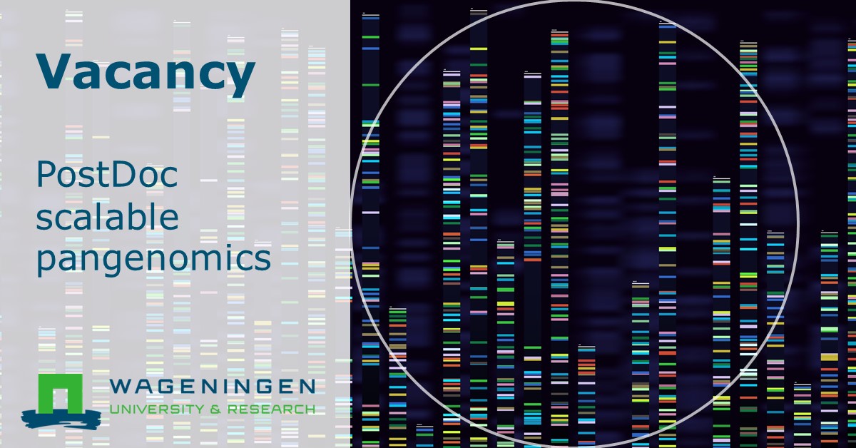 WUR Plant (@wurplant) on Twitter photo #vacancy | Are you skilled in computer science with an affinity for (plant) genomics? 💻 🌱Then this may be the right position for you <a href="/WU_BioInfo/">WU Bioinformatics</a>: wur.nl/en/vacancy/Pos… <a href="/werkenbijwur/">Career at WUR</a> #vacancy | Are you skilled in computer science with an affinity for (plant) genomics? 💻 🌱Then this may be the right position for you <a href="/WU_BioInfo/">WU Bioinformatics</a>: wur.nl/en/vacancy/Pos… <a href="/werkenbijwur/">Career at WUR</a>