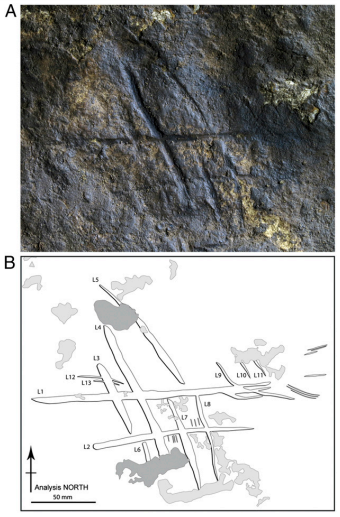 robertosaezm's tweet image. Grabados hechos por neandertales / Engravings made by Neandertals (Español/English) wp.me/p4Bi9E-1gO
 #NutcrackerMan
