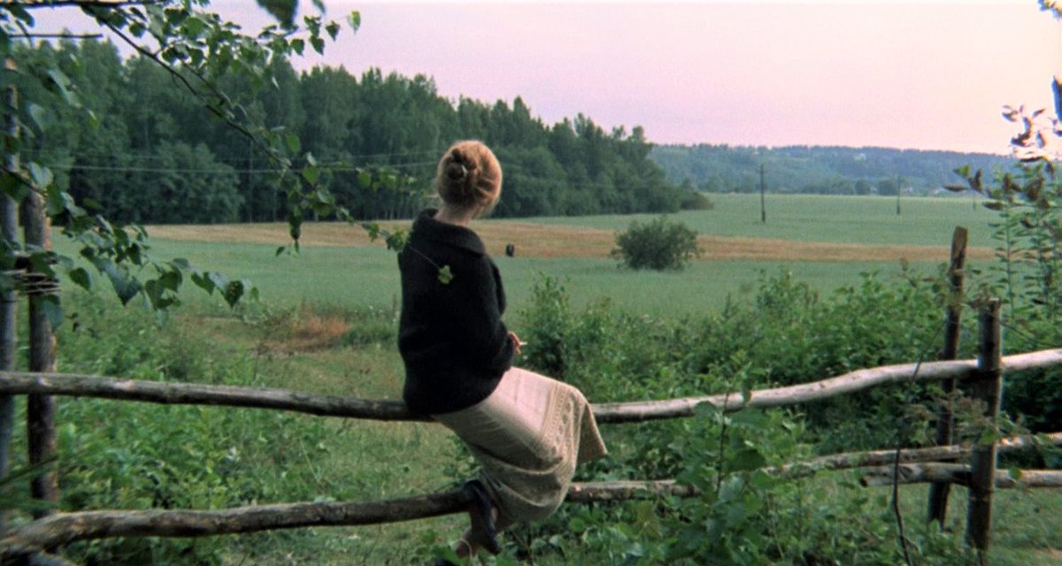 esparza_rafa's tweet image. “Los árboles no corren a ningún lado; nosotros corremos aturdidos, decimos 
cosas banales... Todo es desconfianza, prisas, falta de tiempo para pensar.”

   🎥Andrei Tarkovski (Zerkalo, ‘El Espejo’)