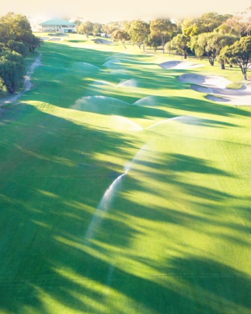 Hashtag Rainbird Auf Twitter