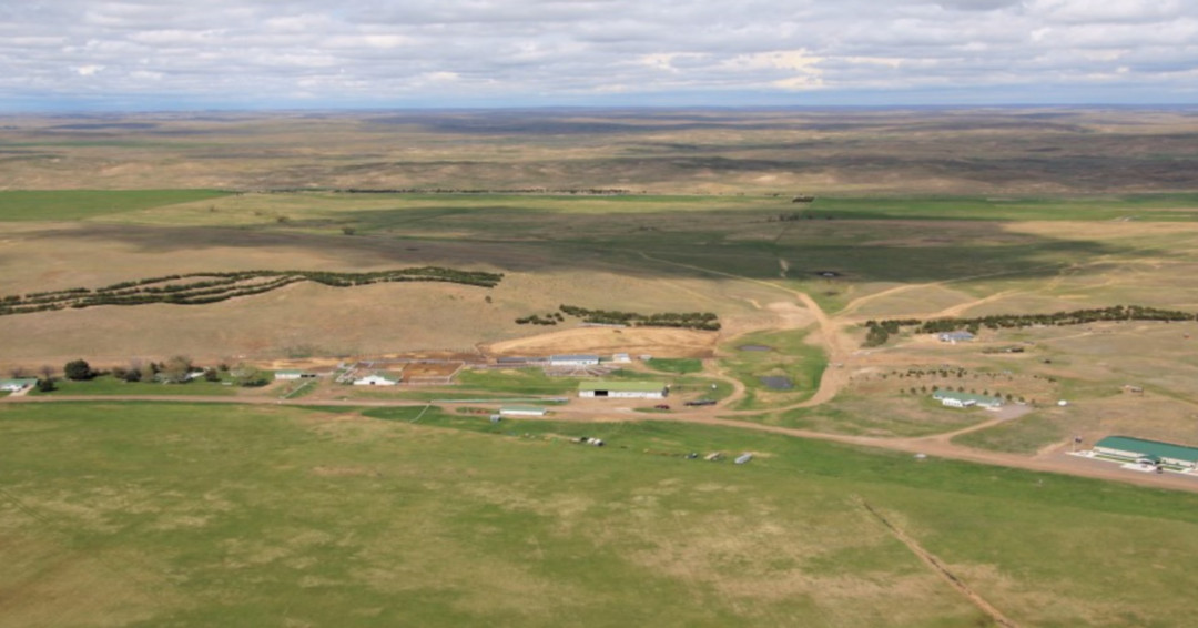 beef_educator's tweet photo. The Gudmundsen Sandhills Laboratory (GSL) is located in the heart of the Nebraska Sandhills in Grant, Hooker and Cherry counties. Read more about GSL at https://t.co/2r0aiNmTvd
#GudmundsenSandhillsLab
#NebraskaSandhills
#UNLBeefExt
#NebExtBeef https://t.co/Pp4Ncg2THU