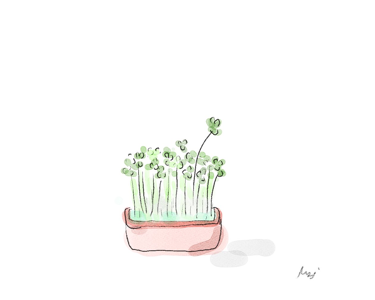 もゆ 豆苗 イラスト 豆苗 イラスト好きさんと繋がりたい T Co Vgysfhouix Twitter