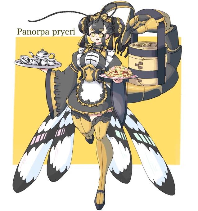 プライアシリアゲ(Praia尻揚) 