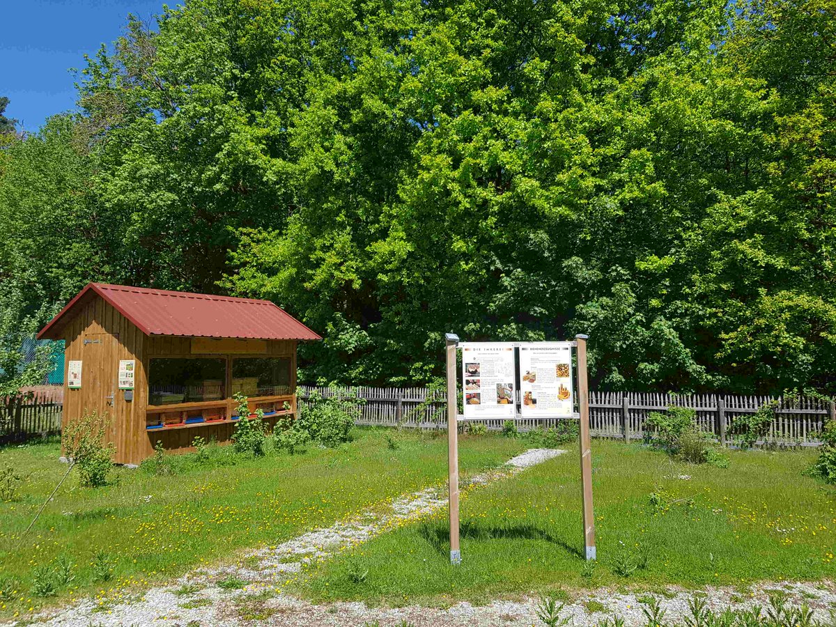 Johannesbad's tweet photo. Die Bienen🐝 im #Johannesbad Hotel #Jagdhof versorgen unsere Gäste nicht nur mit leckerem Honig. Die wohltuende Luft aus dem Bienenstock eignet sich hervorragend zum Inhalieren bei Heuschnupfen, Bronchitis, Asthma, Atemproblemen und Leiden der Nasennebenhöhlen. #natürlichgesund https://t.co/uRcEEqiuAA