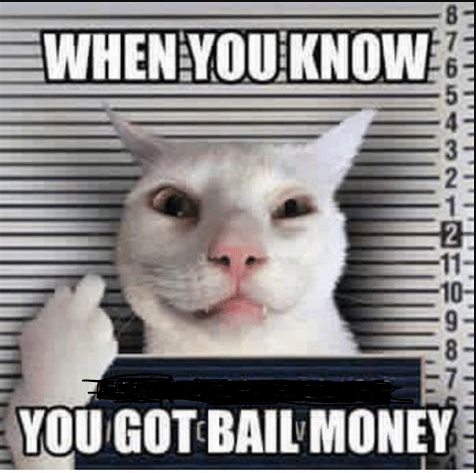 7. You have a right to see a Magistrate within 48 hrs and you also have a right to bail unless there are compelling reasons for you not to be granted bail.