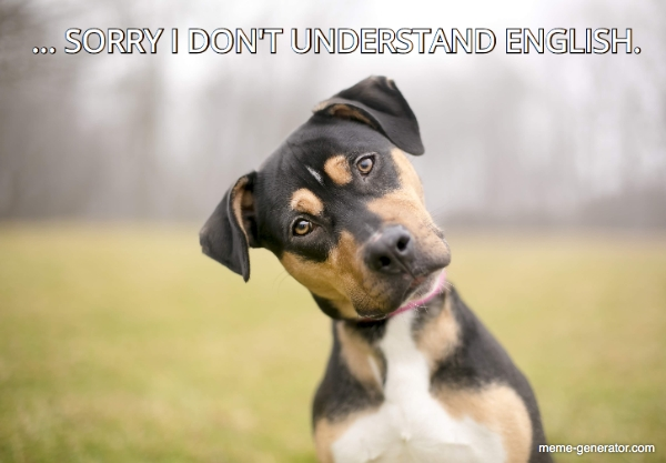 9. If you get into court no matter how proficient you are in English, if it is not your first language, always prefer your native tongue.10. Never sign anything you have not read and understood or answer a question you have not clearly understood.