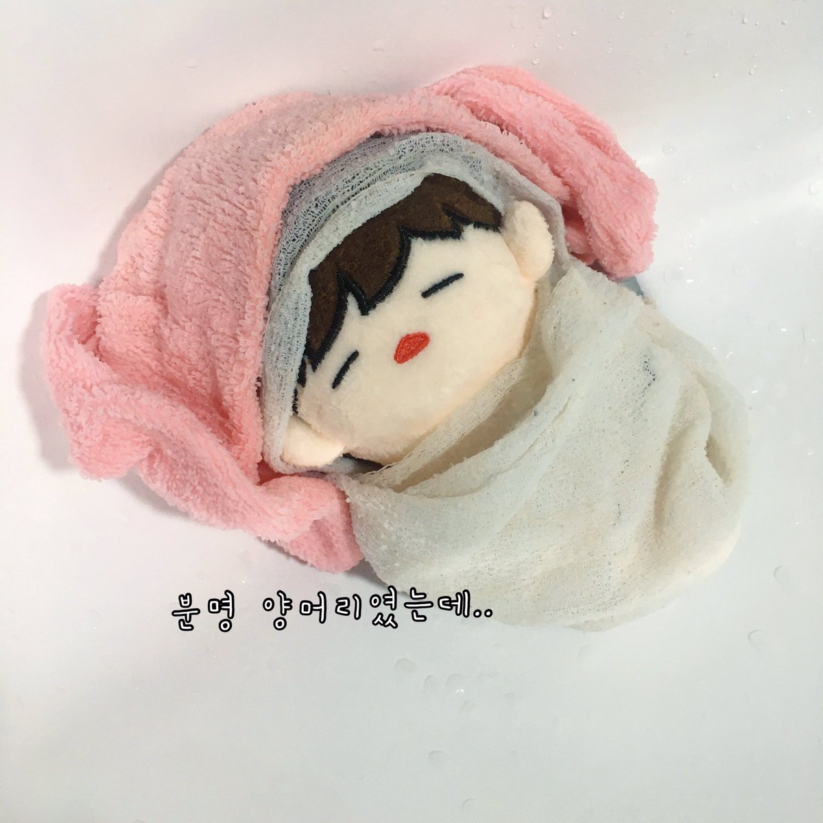 뭉이 첫 목욕🛁❤️

#짼뭉이 #김재환인형