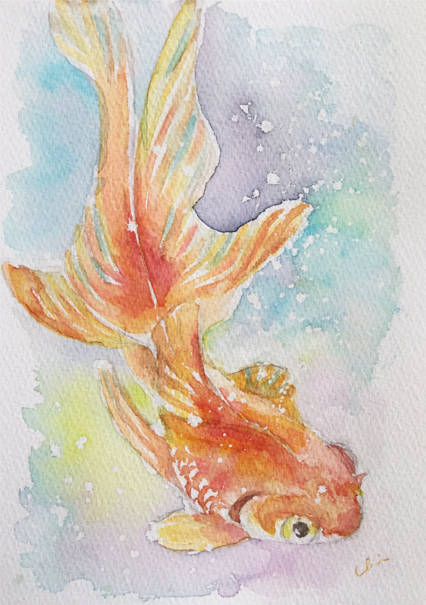 メール便送料無料 夏に涼しい 金魚の水彩画 Sentrahki Unej Ac Id