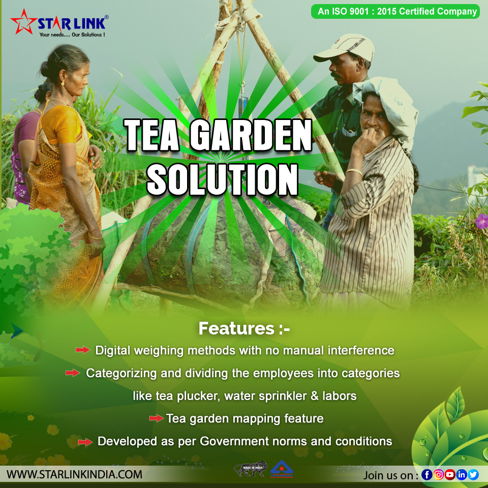 starlinkindia's tweet image. #TeaGardenSolution. A perfect combination of #biometric #attendance machine and #software to cater to the tea garden industry especially to the labor forces for a precise tea leaves calculation and  stress-free #management.
🎥: youtube.com/watch?v=r8JmjO…
👉: bit.ly/2rgJi73