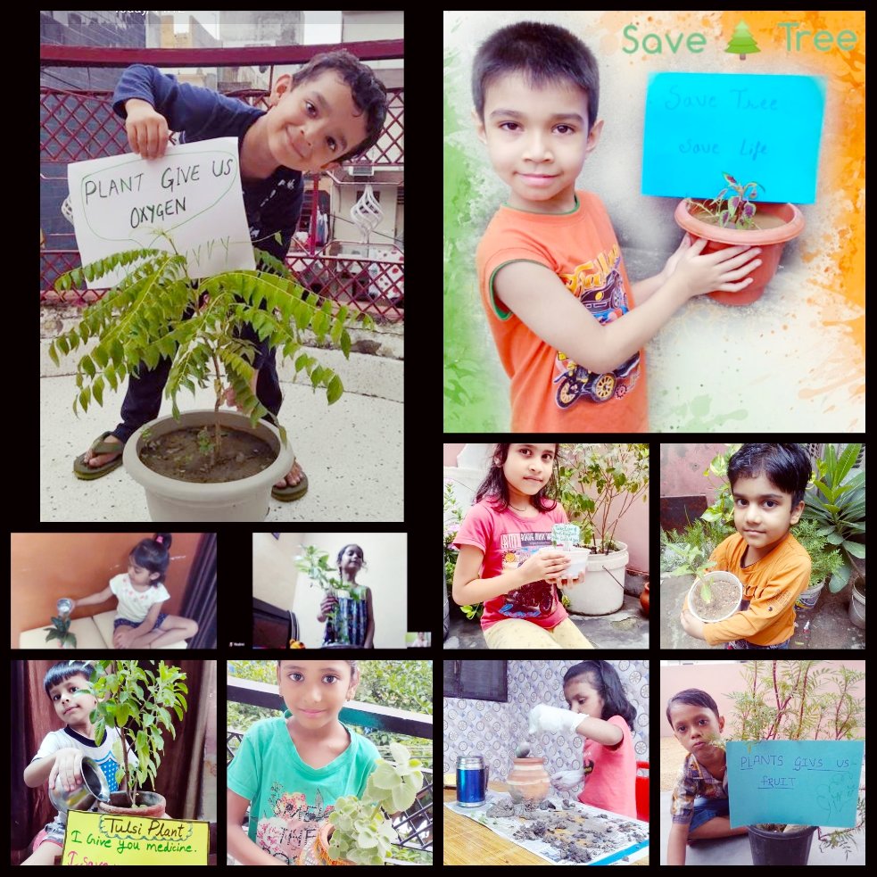 heyy_priyanka's tweet photo. It's not what is poured into a student that counts but what is planted! @MtAbuSchool @Gurpree45991650 @JyotiAroraMtAbu @umes_shrestha @dp_2211
#Grade1 #ExperientialLearning #Values #RipplingEffect #SDG4 #SDG13 #SDG15 #VirtualLearning #Plantation❤️ #Drive #Maps🇮🇳 https://t.co/3tvvl0Mcxe