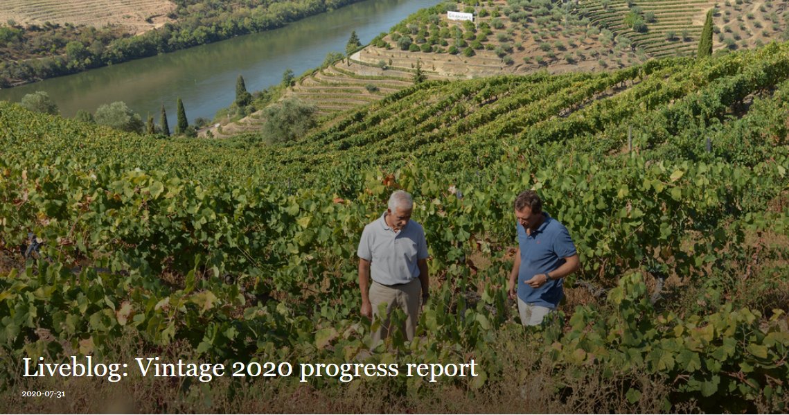 SymingtonFamily's tweet photo. First entry in our Vintage 2020 #Liveblog: 

Following the hottest July in the past 40 years (3.5°C above monthly average) &amp; a precocious cycle, we are looking at another early harvest in the Douro, with yields likely to be considerably below the average.

https://t.co/z6CSbBRAh0 https://t.co/2A6Gm8qqkN