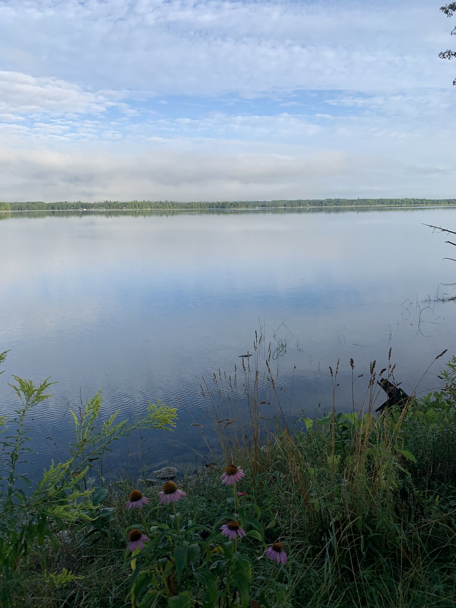 Sinwagon73's tweet photo. @BlacksWeather My morning cottage vibes #vartylake #stonemillstwp ❤️🇨🇦 https://t.co/9GaOPxlV5H