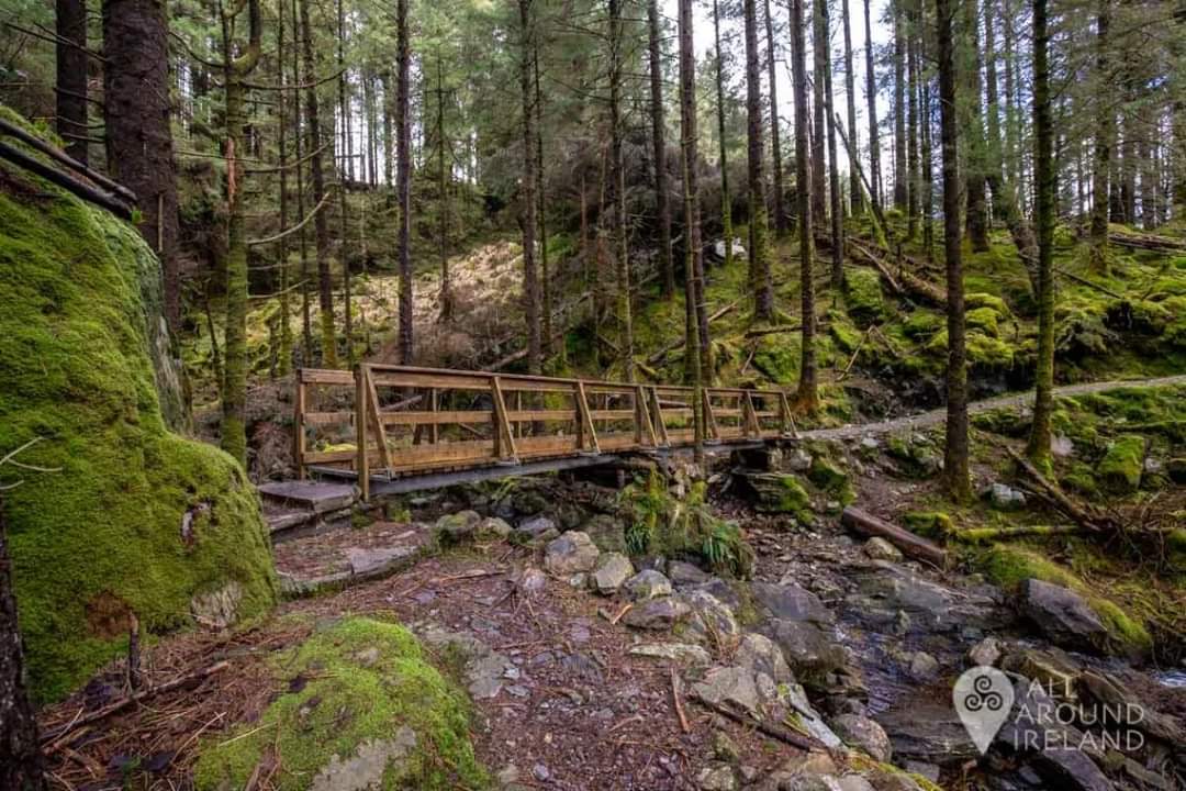 Hope everyone is keeping well and again a massive thank you to the people of Cork and beyond for your kindness and generosity to date.The Gougane Barra Forest is a magnificent walk, in total they are six walks in this park that a suitable for all ages and all levels of fitness.