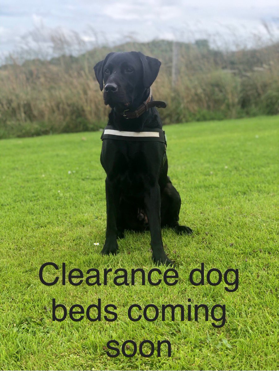 tuffiesdogbeds's tweet image. Live on the website at 5pm tuffies.co.uk #tuffies #tuffiesbeds #dogbeds #waterproofdogbeds #madeinscotland