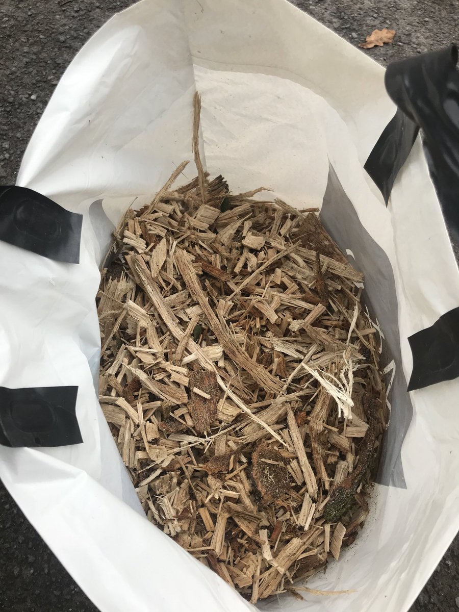 Harry Legge-Bourke tweet media