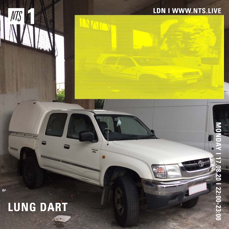 lung-dart-x-nts