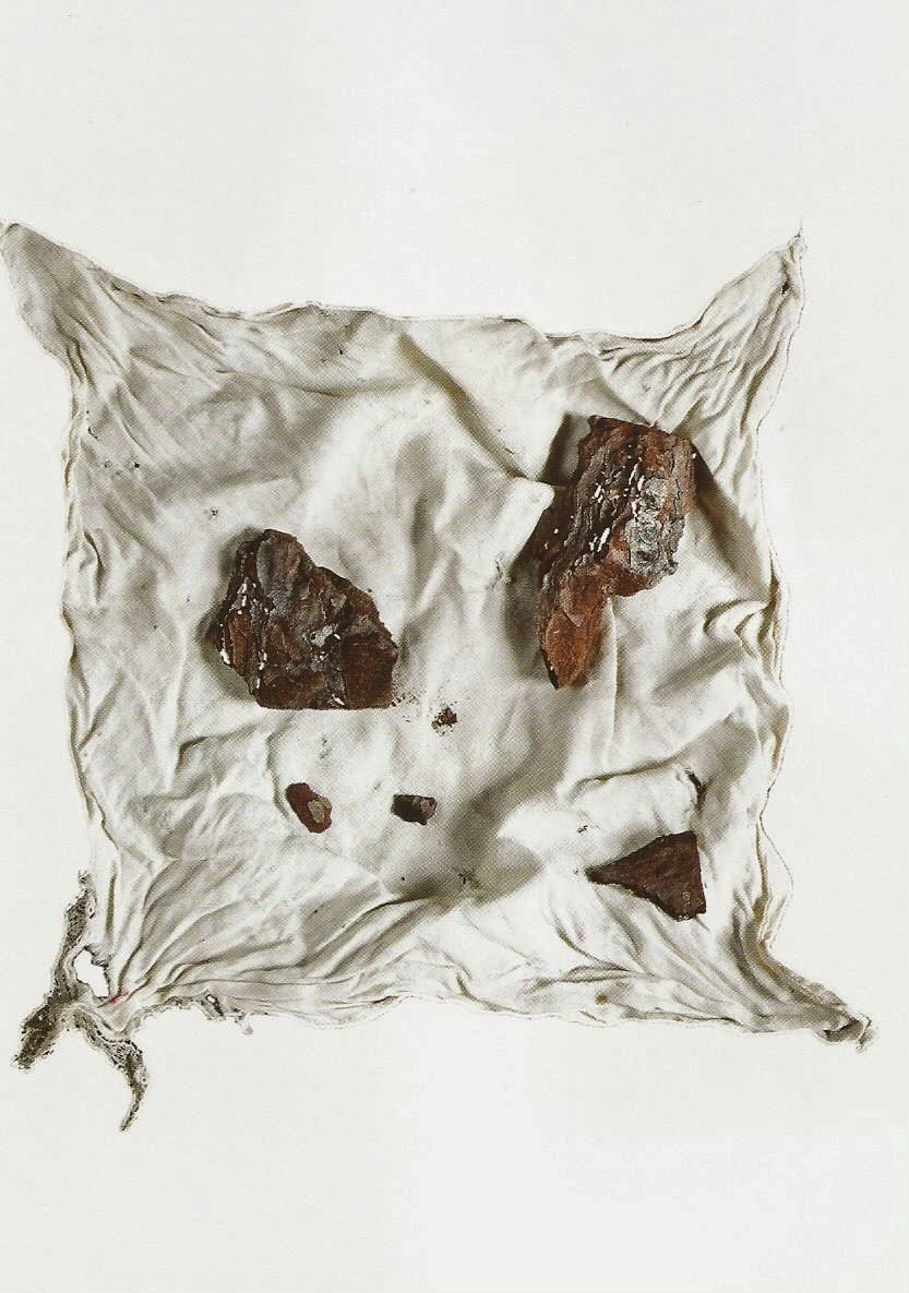 junto a esta da cortiça que amalia alvarez apanhou da arvore na que fuzilaram ao boveda