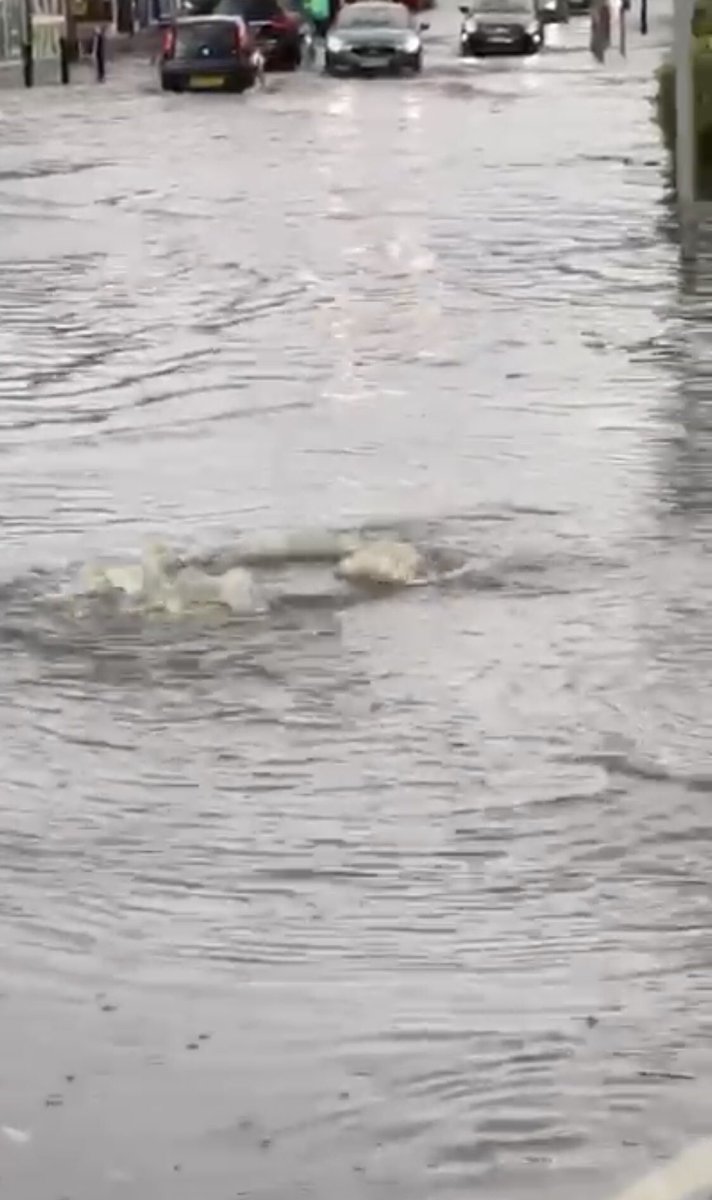 Loughton is a bit wet