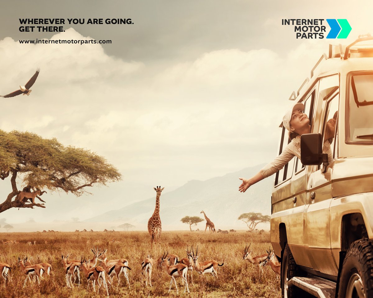 InternetMotor's tweet image. Get There. With over 20,000 parts in stock and more ranges being added all the time we can help you get where you want to be. 

ow.ly/7dgb30qmXPk

#internetmotorparts #getthere #adventure #roadtrip #car #carparts #aftermarket