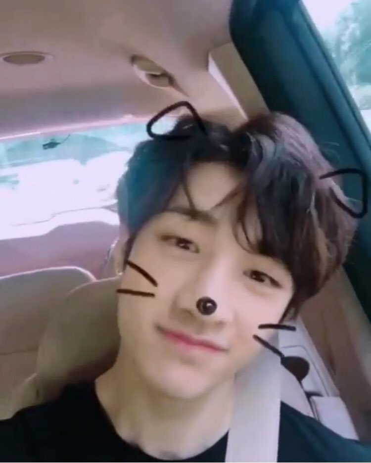 180717 (Hehe cute puppy )