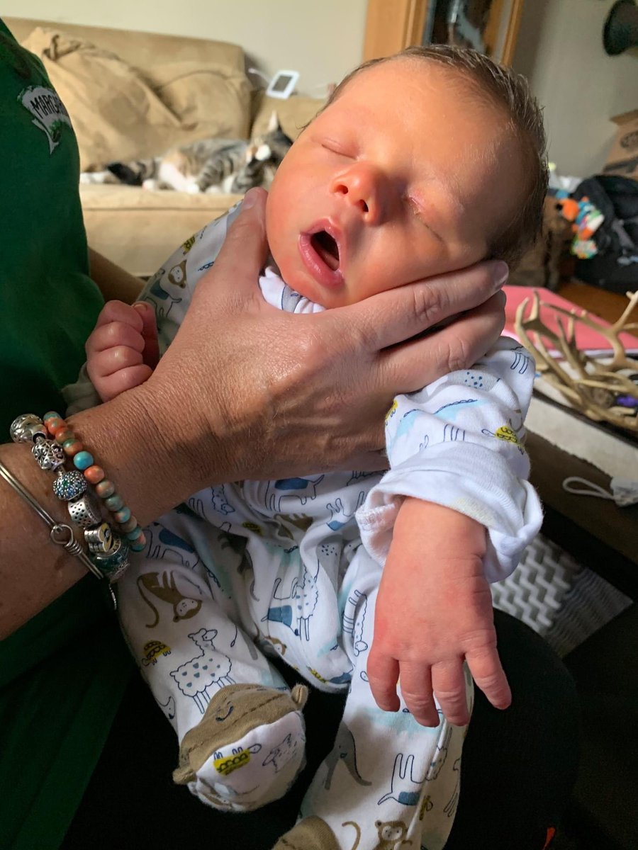kcooop4's tweet photo. cuteness overload of my little man🥰 https://t.co/pfagKhfjPA