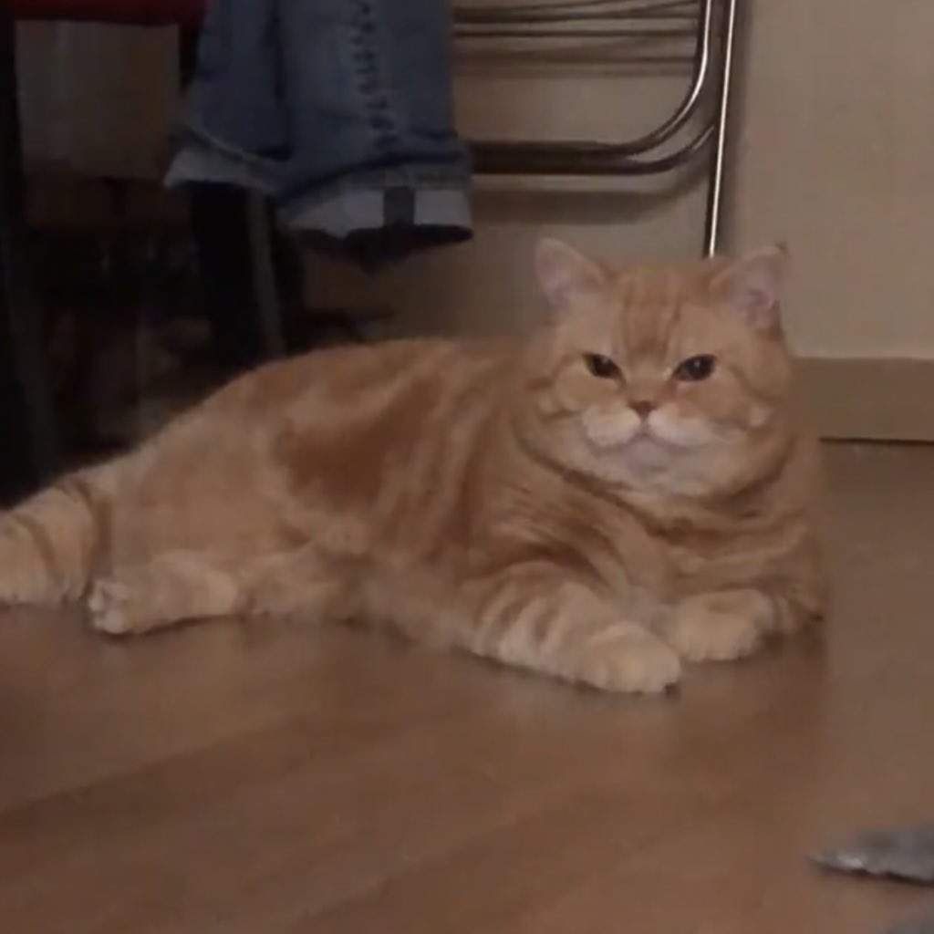 juliebaelin's tweet image. แจยอนรอหม่ามี๊เทอาหาร