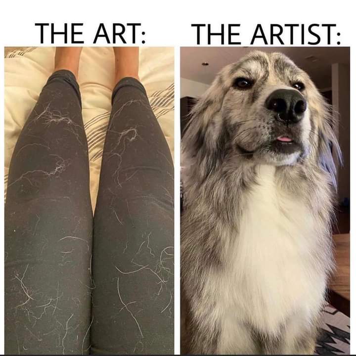ToxicKhaos666's tweet photo. I present to you, the best furry art meme.
Me but with my cats😂
#furryart #meme #animalmeme #dogmeme #pets #cats #animalfuzz #animalfur #doghair #cathair #artjokes #artmeme #lol #humor #funny #sotruethough https://t.co/A4PXDdEmJr