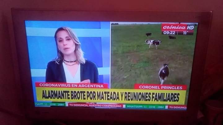 suarez_fabio's tweet photo. - Nadie
- Absolutamente nadie
- Crónica: Alarmante brote por mateada y reuniones familiareso
 ( foto vacas ) 

No estaría entendiendo.....
#coronavirus #brote #cronica #pandemia https://t.co/jrvJHjs4SZ