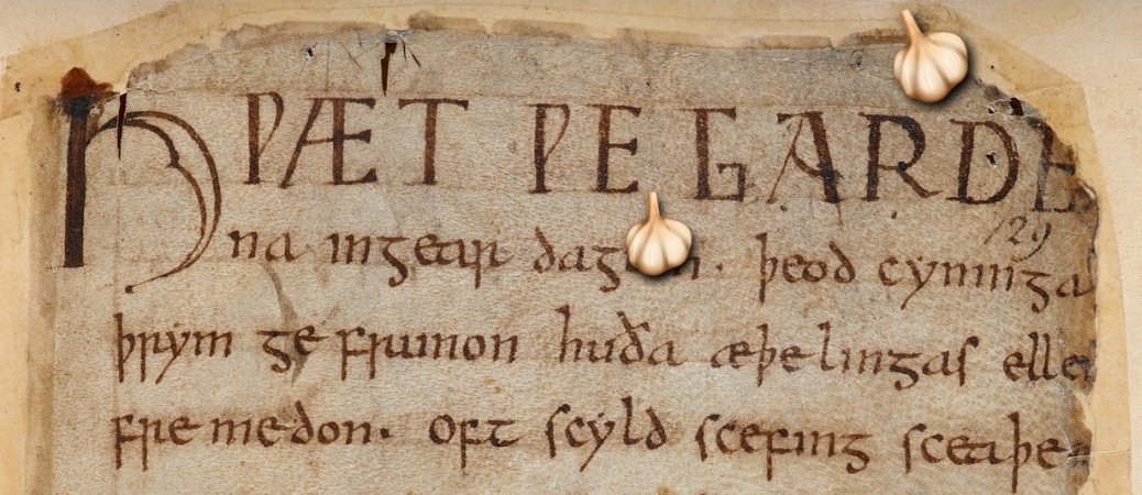 The first line of Beowulf mentions the Gārdene, translated into Modern English as 'the Spear-Danes', since 'gar' is an archaic word for 'spear'.Due to the plant's pointy shape, we find this same 'gar' in the word 'garlic' - literally, a 'spear leek'.