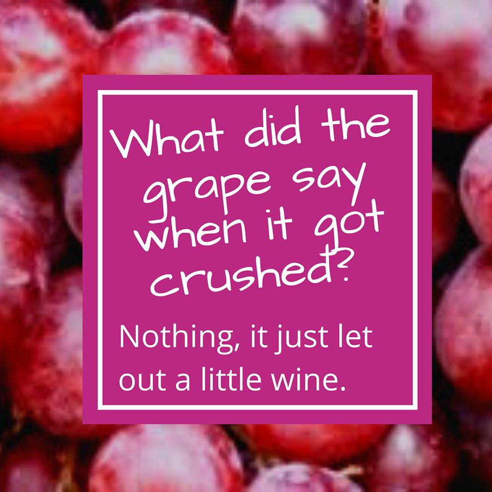 SilverLiningsTe's tweet photo. Don't whine we are here for you but if you need wine (we understand). Every Wednesday we want to hear your IT questions. We will help you work IT out. #workIToutWednesday #silverliningstechnology #dadjokes https://t.co/FyVHrdVg77