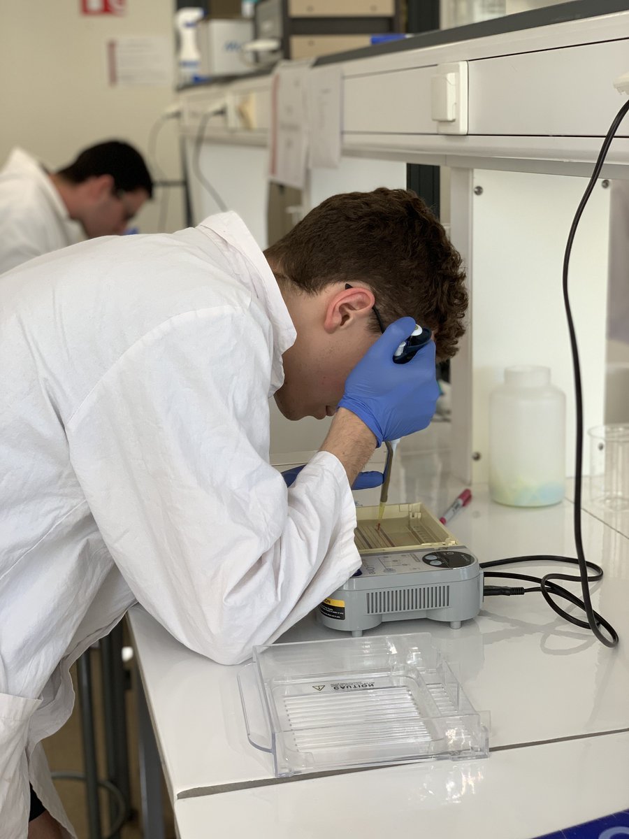 Hi everyone!
Our biologists and engineers work hard every day, and it is a pleasure to see our project getting concrete!
See you soon!
If you want to support our project you can give us a hand by visiting our crowdfunding page: helloasso.com/associations/i…