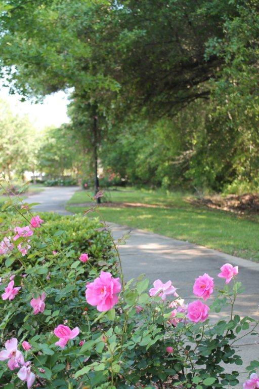 MeyerVacations's tweet photo. Did you know the #GulfCoast has some of the most beautiful #nature #trails in the United States? #GulfShores #OrangeBeach #PerdidoKey #FortMorgan

https://t.co/TChETOJQJ0 https://t.co/daZyeCte8N