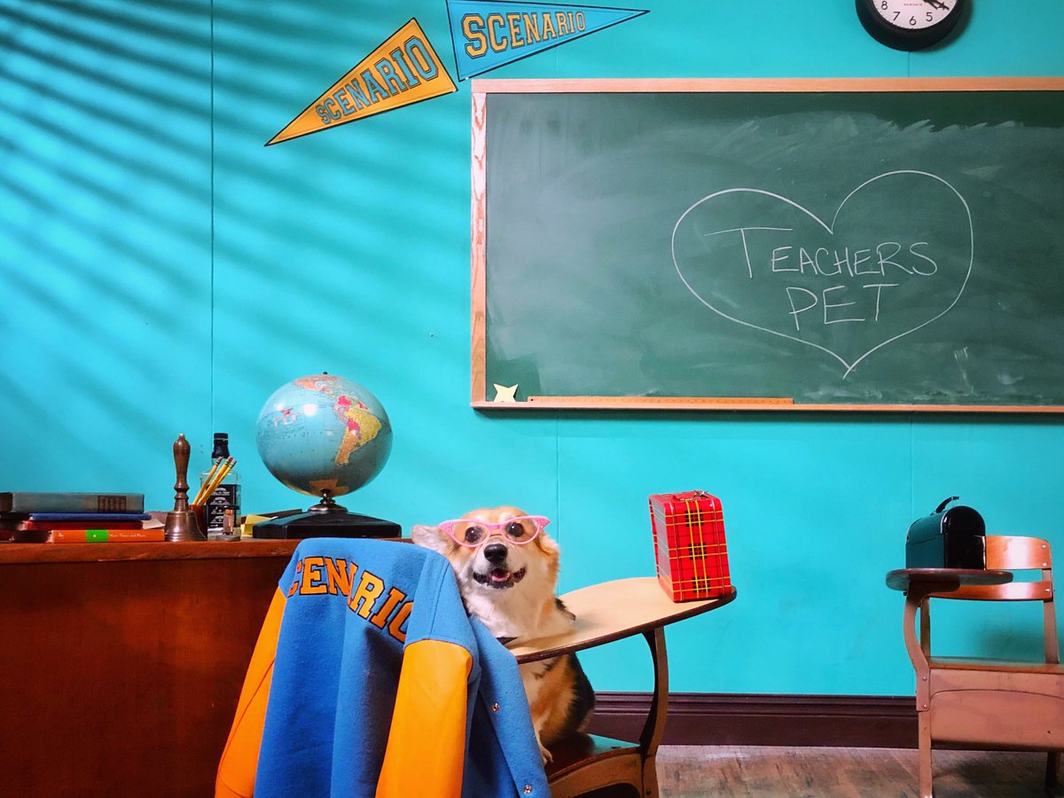 corgi_zero's tweet photo. Wait, classrooms don’t look like this anymore?? 🏫🍎💻📚📝
Good luck to all the teachers going back today - and thank goodness my mama isnt one of them!
#LeaveOfAbsence #YearOff #MiddleSchoolDropout #BestDecisionEver https://t.co/fXvRO73pbL
