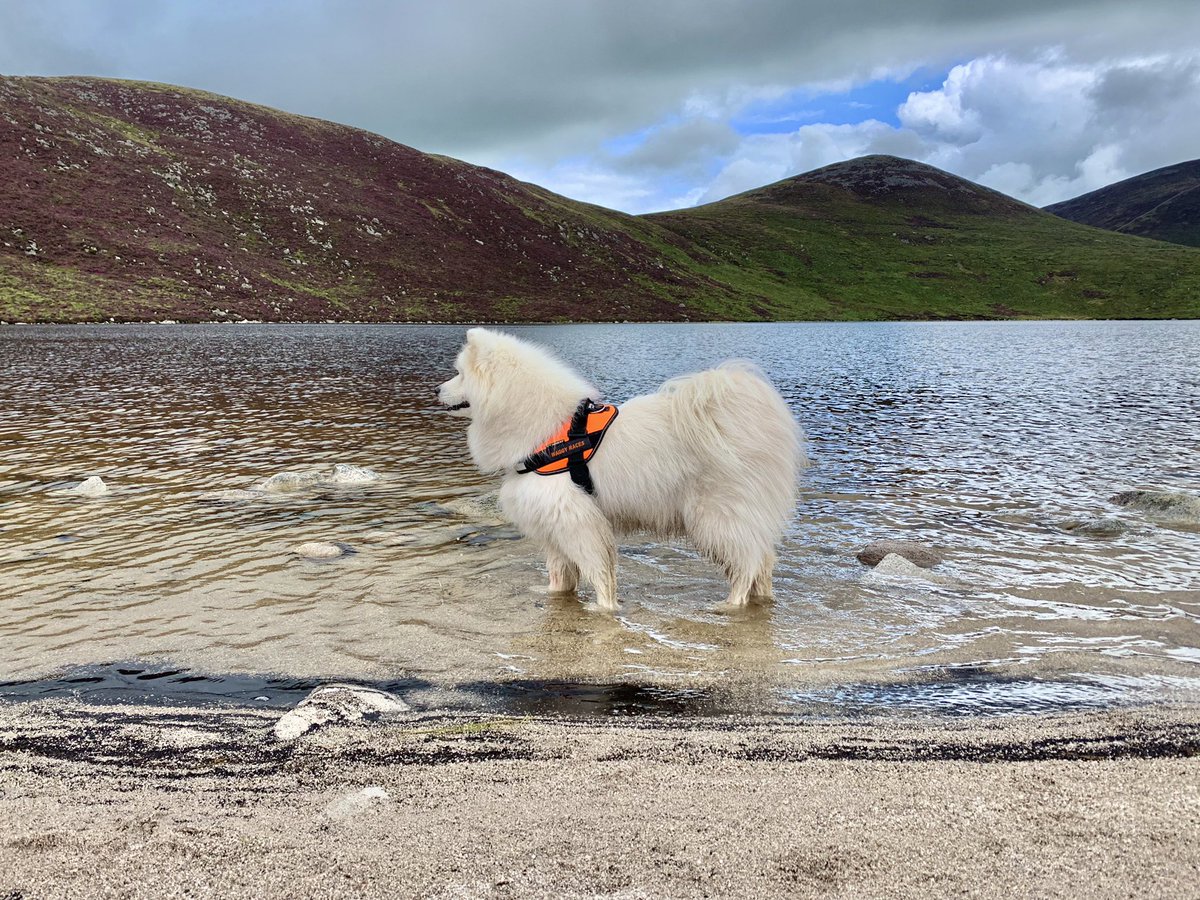 waggyraces's tweet photo. We’re going hiking in the Mournes and you’re v welcome to join!

 ⛰Slieve Doan (594m) via Lough Shannagh 

 🗓 Sun 13 Sept  | ⏰ 10am

📍Banns Road Car Park

⏳ approx 4h

✏️No booking - just turn up https://t.co/k9RMwV8cWe