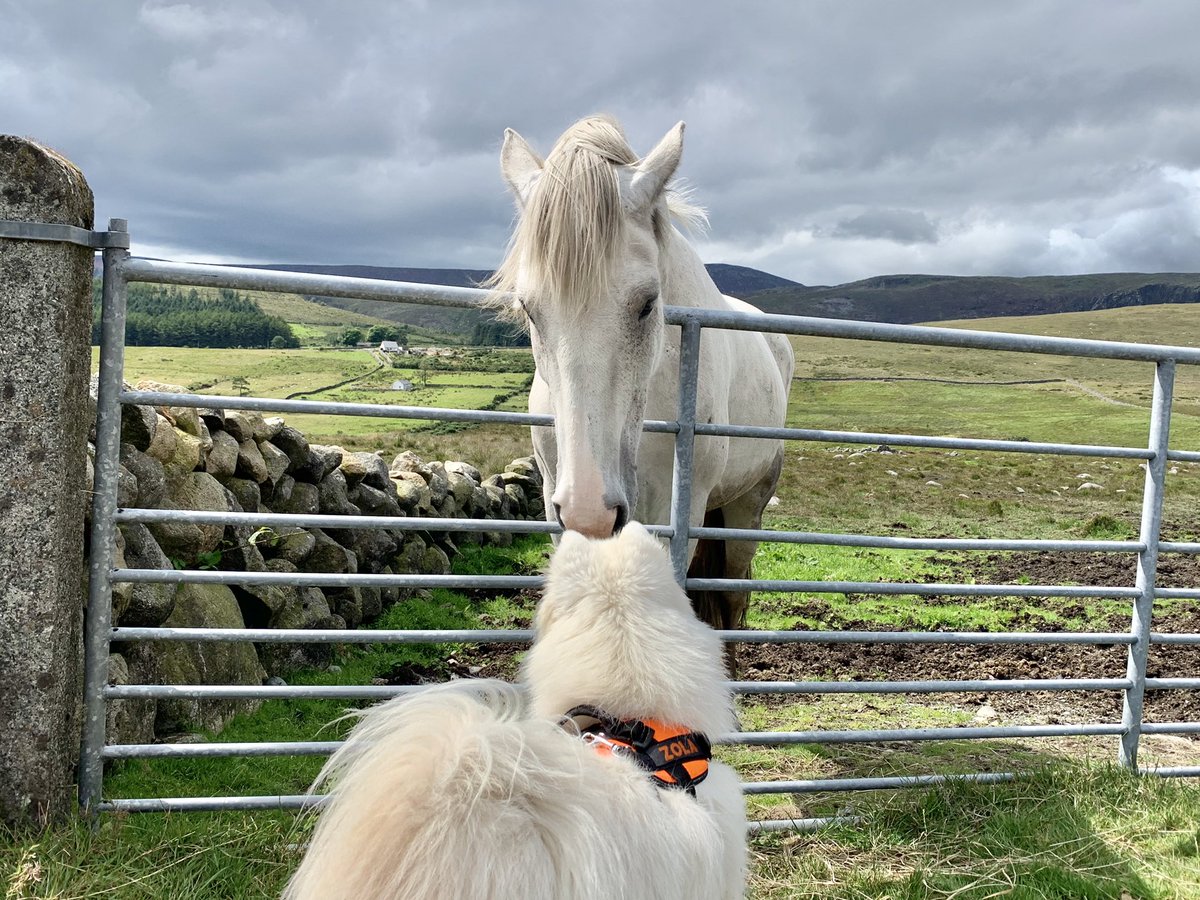 We’re going hiking in the Mournes and you’re v welcome to join!

 ⛰Slieve Doan (594m) via Lough Shannagh 

 🗓 Sun 13 Sept  | ⏰ 10am

📍Banns Road Car Park

⏳ approx 4h

✏️No booking - just turn up