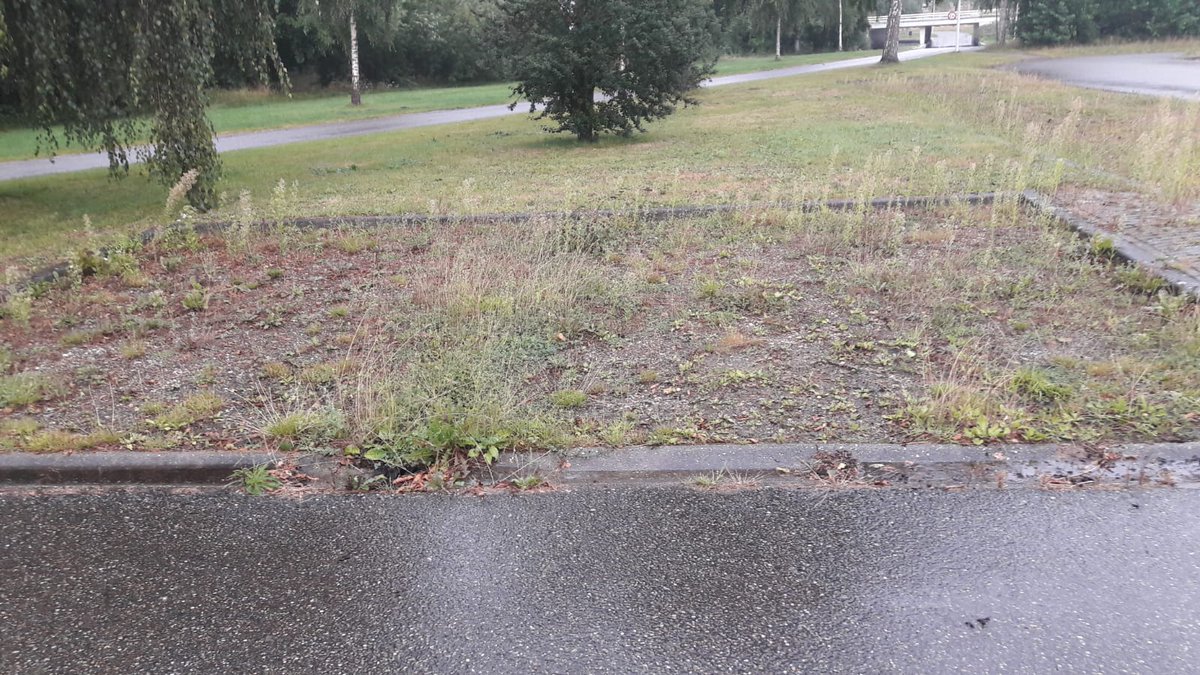Wijkschouw 27 augustus 2020 <a href="/gemeenteDFM/">gemeente De Fryske Marren</a> en <a href="/BalkVooruit/">Balk Vooruit</a> 

Gemeentelijk (klein) onderhoud nodig in #Balk? 
Meld het dan voor 25 augustus 2020 bij Balk Vooruit via info@balkvooruit.nl o.v.v. omschrijving situatie, locatie en foto. 

Voor meer info kijk op:
facebook.com/Balk-Vooruit-2…