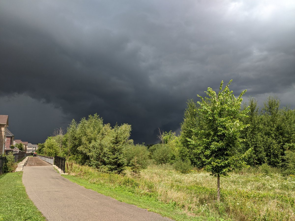 Chris Hislop tweet media