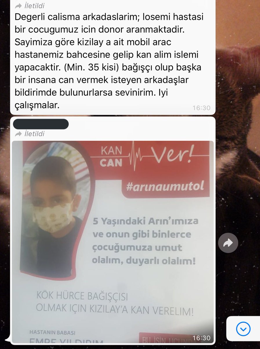 Melisyukselir's tweet photo. Medicana Sivas Hastanesi olarak,  büyük ekibimizle bizde Arın'ın yanındayız🤍 Ekiplerinizi bu durumdan haberdar ederek bu yolda sizde bize destek olabilirsiniz. #birliktebasaracağızarın @arinaumutol #arınaumutol https://t.co/HX4X0Xm3Ih