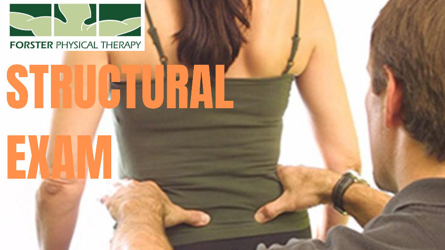 PHASEIV's tweet image. Strength in an Aging Immune System / Olympic Flashback Series: The Relay Heard Round The World / Periodization Training for Life - mailchi.mp/forsterphysica…