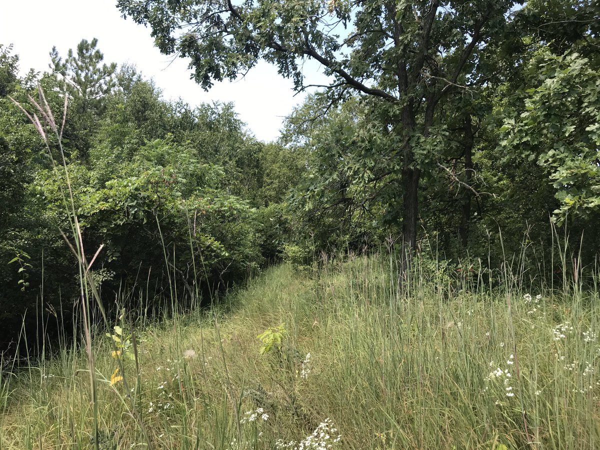 One of the best parts of my job is hiking a new potential #conservationeasement property, spending the day discovering views and hidden habitats. This property had a hidden away native #dryprairie remnant; a severely declining habitat type in the #driftlessarea 
#lovemyjob
