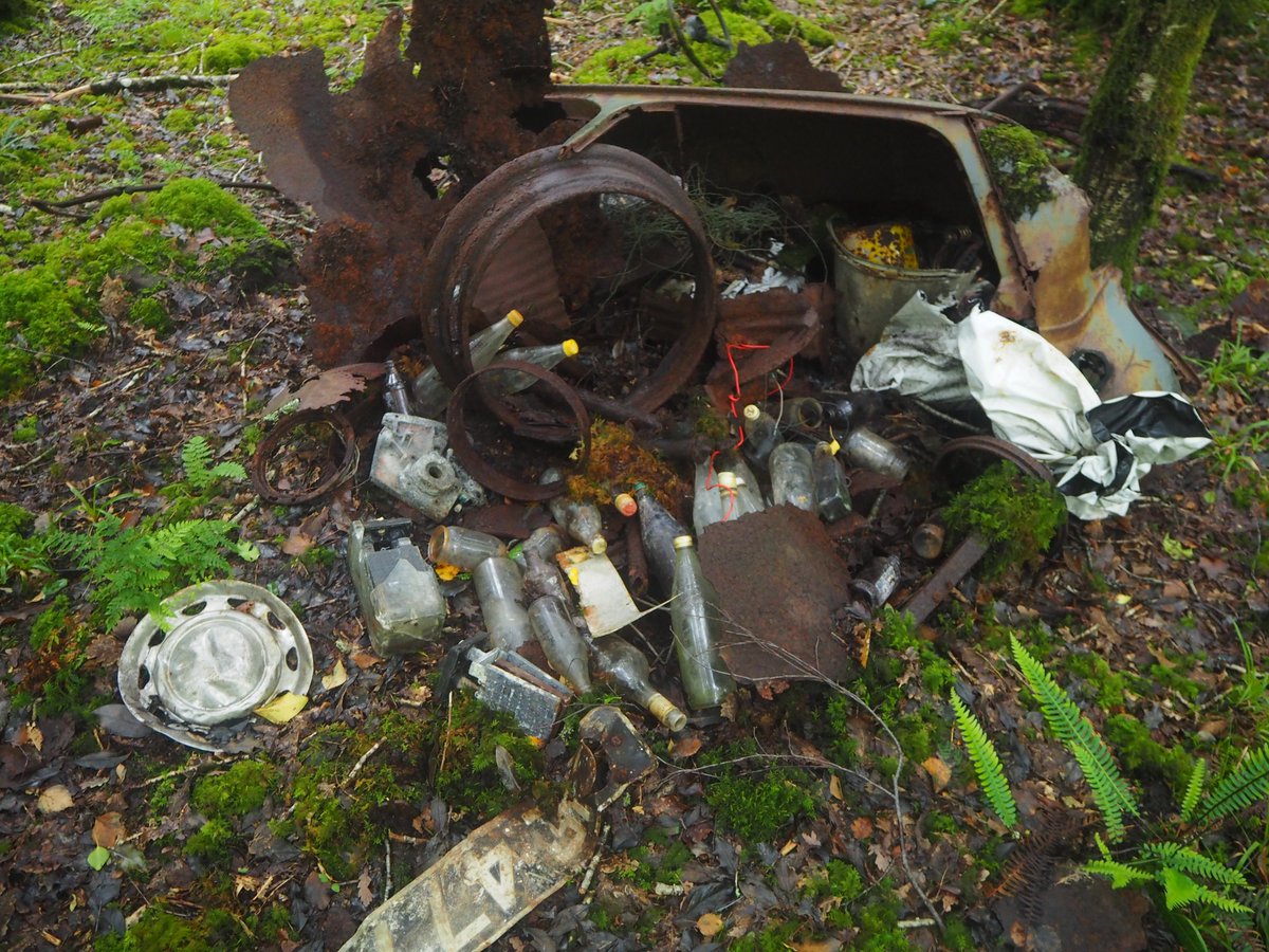 Ubiquitous rhodendron and overgrazing along with some historical dumping