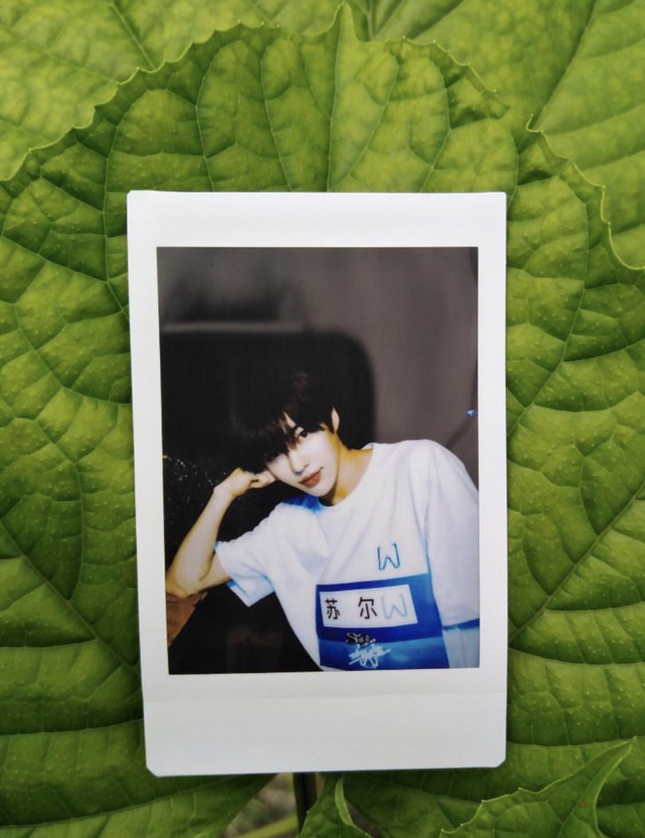 bbibbipolaroids's tweet photo. here are some really pretty photos that one of our customers took 😍💛

#bbibbipolaroidsfeedback https://t.co/01ByjPE6VU