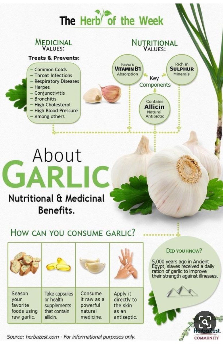 A small note on Nutritional and Medicinal benefits of #garlic. Garlic  contains Allicin, a natural antioxidant, help in absorption of Vitamin B1,  helps to get relief from common cold among other. Know, image size:776x1200