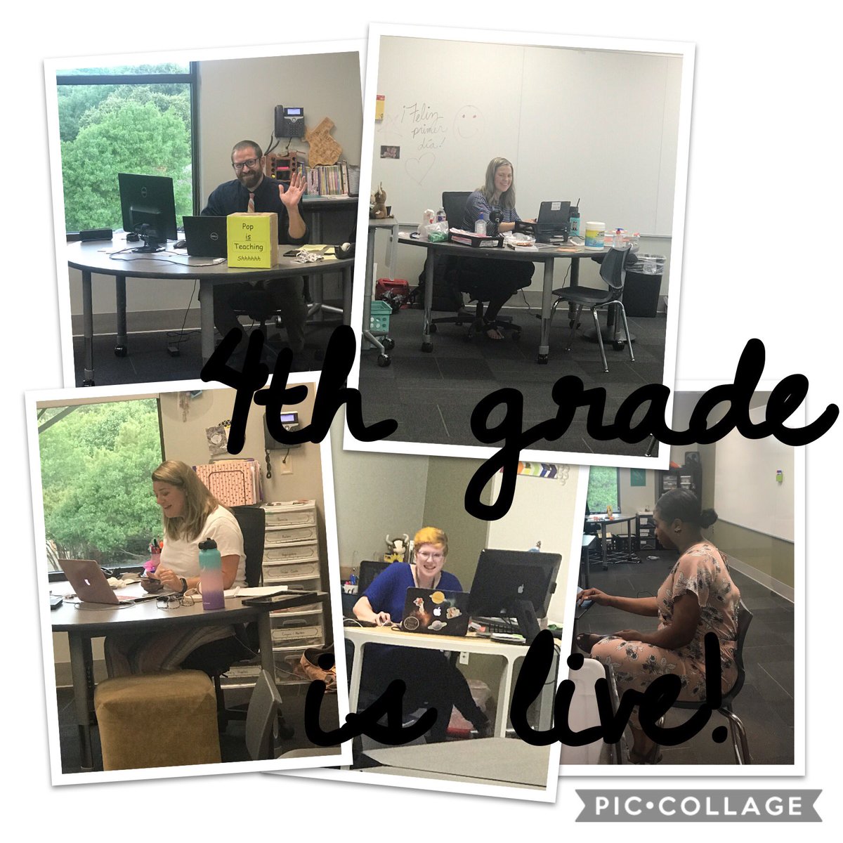 Lisa Brown tweet media