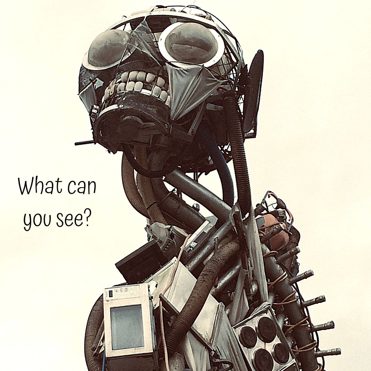 learnbyinquiry's tweet photo. The #weeeman sculpture at the #EdenProject, created using upcycled materials to illustrate the amount of waste generated by consumerism. So many opportunities for #inquirylearning here!
  
 #recycle #learningprovocations #recycling #inquirybasedlearning #inquiry https://t.co/fbR1JjK9OR