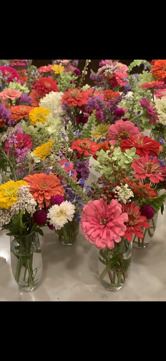 Thanks TCC faculty &amp; staff for being a BRIGHT SPOT to all our students‼️⁦<a href="/T_C_Cherry/">TC Cherry Elementary</a>⁩ ⁦<a href="/BGISD/">Bowling Green Independent Schools</a>⁩ ⁦<a href="/KoryTwyman/">KTWYMAN25</a>⁩