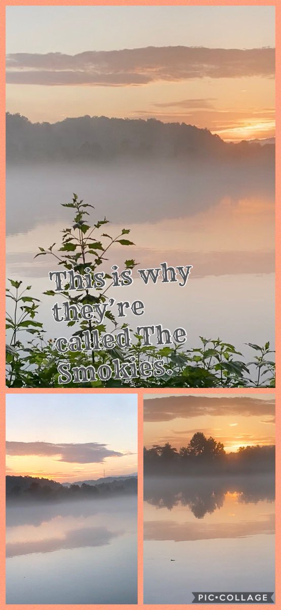 Rhonda Ashburn (@rlashburn) on Twitter photo 