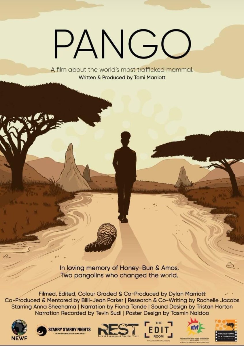 newfafrica's tweet photo. WATCH! TONIGHT on @5050TV - SABC 2 at 7pm! Don't miss Tami Marriottβs 2019 N.E.W Pitch film, "Pango"!
#FilminConservation #Pangolin #Pango #makingadifference #NEWF2020 #newpitch https://t.co/5rYcRn10uU