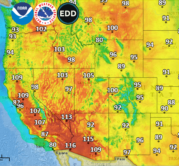 NWS tweet picture