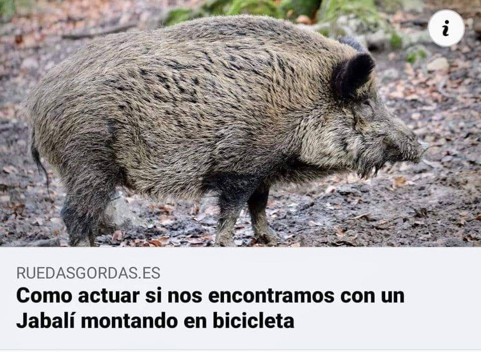 BocataJamonEHM's tweet photo. Yo lo primero echar una foto, porque no se lo creería ni dios. https://t.co/BOCCeAgBo8